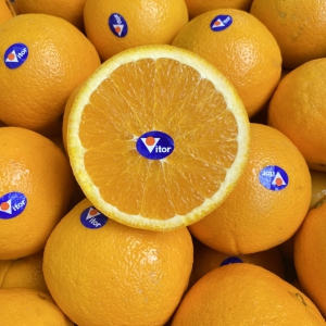Cam Úc