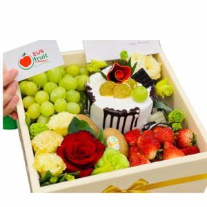 HỘP QUÀ TẶNG BÁNH KEM - TRÁI CÂY