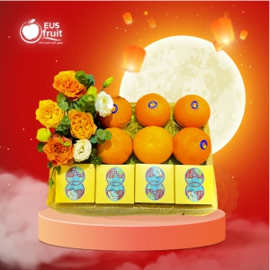 SET QUÀ TRUNG THU TẶNG BÀ