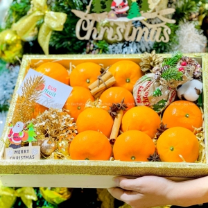 GIFTBOX QUÝT ÚC NOEL 2023