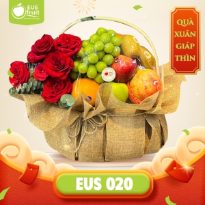 GIỎ TRÁI CÂY TÂN XUÂN 2024