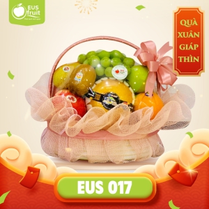 GIỎ QUÀ TRÁI CÂY TÂN XUÂN