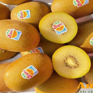 KIWI NEWZEALAND