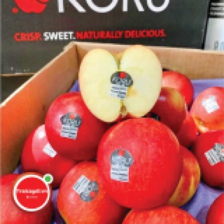 TÁO KORU S70