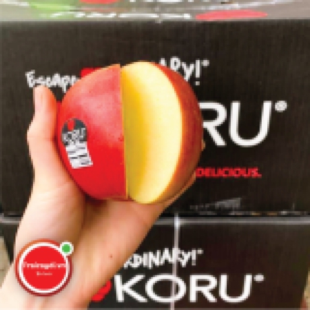 TÁO KORU S70