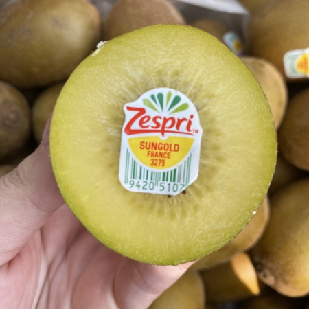 KIWI NEWZEALAND