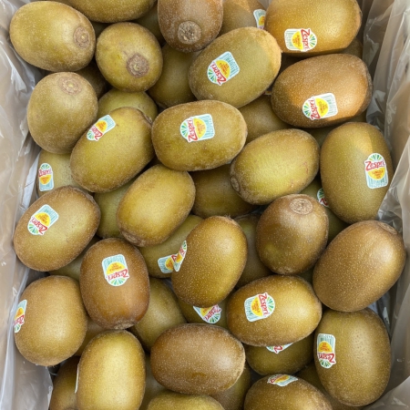 KIWI NEWZEALAND