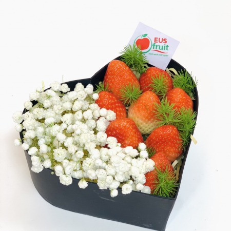 HỘP QUÀ TẶNG NỒNG NÀN