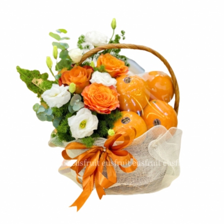 GIỎ TRÁI CÂY THĂM HỎI