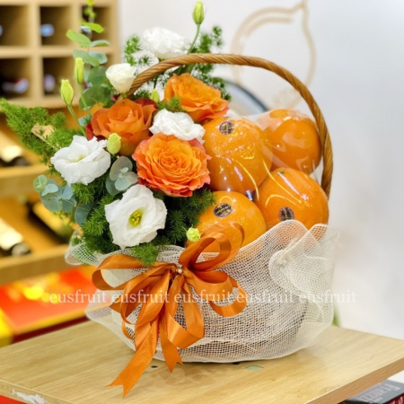 GIỎ TRÁI CÂY THĂM HỎI