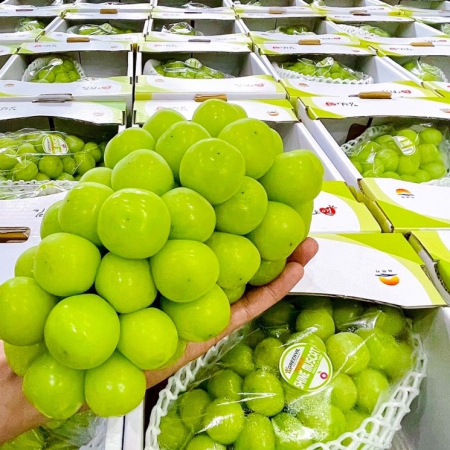 NHO SỮA HÀN QUỐC